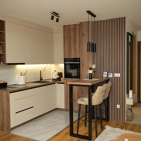 Apartamento Stan Na Dan - Nika Studioapp Istocno Sa Garazom